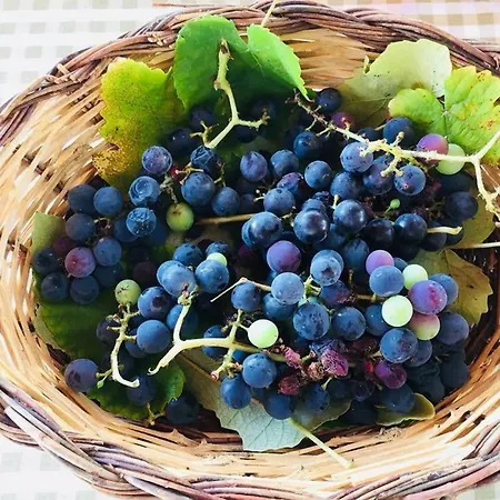 Bed and breakfast La Vallonea