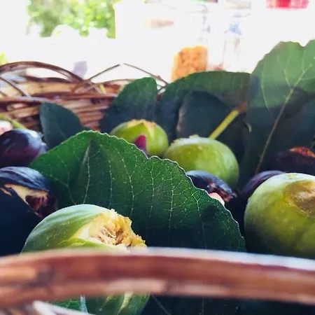 La Vallonea Bed and breakfast