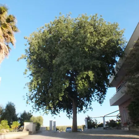 ベッド・アンド・ブレックファスト La Vallonea 3*