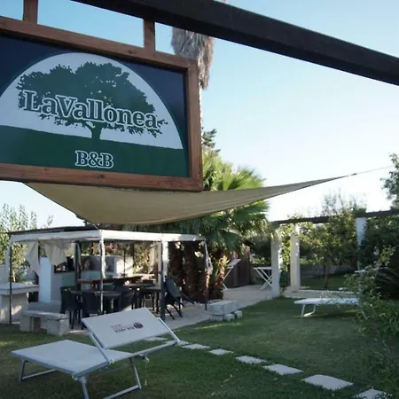 La Vallonea
