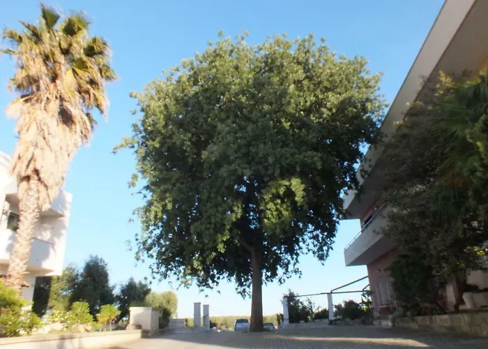 Bed & Breakfast La Vallonea 3*