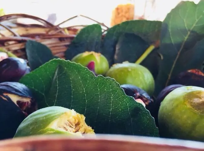 La Vallonea Bed & Breakfast